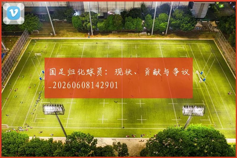 国足归化球员：现状、贡献与争议_20260608142901