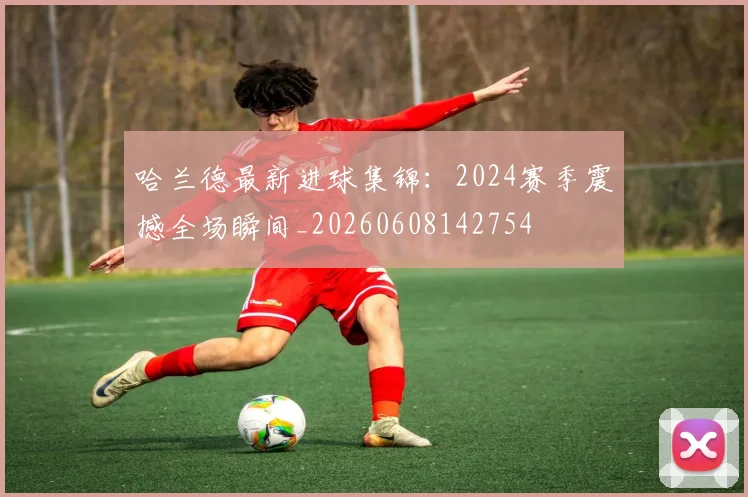 哈兰德最新进球集锦：2024赛季震撼全场瞬间_20260608142754